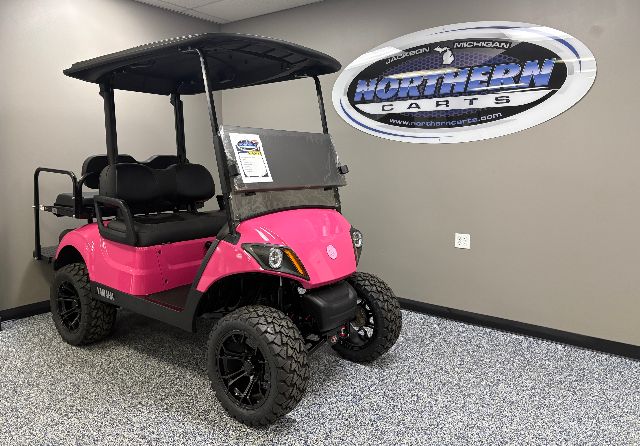 2019 Yamaha Drive2 EFI Gas Cart
